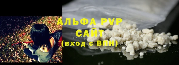 PSILOCYBIN Вязьма