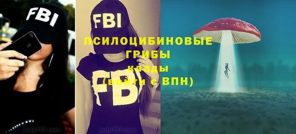 МДПВ Вязники