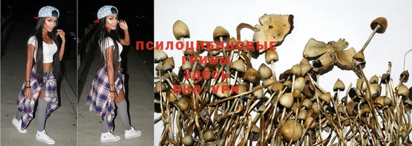 эйфоретик Вяземский