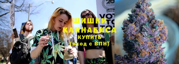 PSILOCYBIN Вязьма