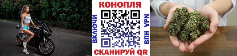 Канабис OG Kush  хочу   ссылка на мегу зеркало  Бердск 